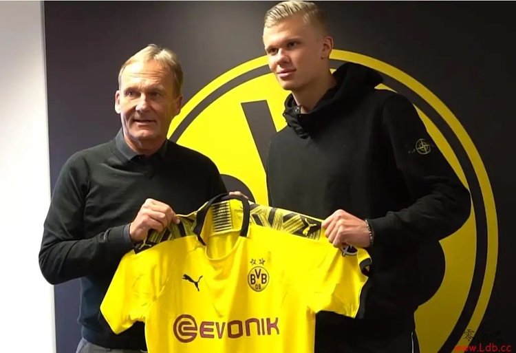 好起来了！杨瀚森造兰代尔失误后笑容满面